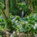 Reserva_de_Biosfera_Jaragua_Bahoruco_Enriquillo-