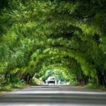 Tunel
