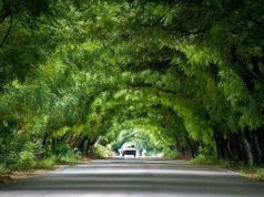 TUNEL NATURAL NEYBA-JARAGUA