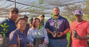 Desarrollo Fronterizo entrega 11 mil plantas a productores de limón y otros rubros de la provincia Bahoruco.