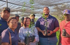 Desarrollo Fronterizo entrega 11 mil plantas a productores de limón y otros rubros de la provincia Bahoruco.