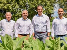 RD incrementó exportaciones tabaco en mil millones dólares