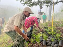 Organizaciones Impulsan Jornadas de Reforestación y Escuelas de Campo para la conservación del Lago Enriquillo El Aguacate