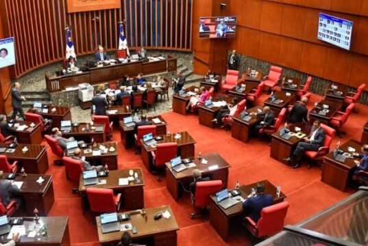 Senado aprueba eliminar las candidaturas independientes