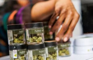 Advertencia de EEUU: tarjetas de marihuana medicinal no son válidas en RD