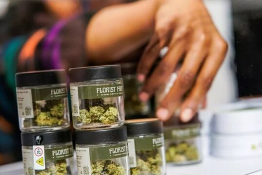 Advertencia de EEUU: tarjetas de marihuana medicinal no son válidas en RD