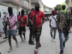 PUERTO PRINCIPE.- Unos 5,500 haitianos murieron durante menos de un año a causa de la violencia generada en el país por pandillas armadas, denuncia un informe de la Organización de Naciones Unidas. Las bandas causantes de esas muertes controlan carreteras, costas y montañas y siembran el terror mucho más allá de la capital, añade el documento suscrito por la Oficina del Alto Comisionado del organismo mundial para los Derechos Humanos, divulgado en esta capital. Los grupos armados ya no se limitan a Puerto Príncipe, al extender su influencia a departamentos como Artibonite y Central y tomar el control de vitales rutas terrestres y marítimas que garantizan los principales intercambios económicos del país. Las pandillas –agrega el informe de la ONU- atacaron en enero de 2025 posiciones en las colinas sobre Pétion-Ville, una de las rutas entre esta capital y el sur hasta ahora sin controlar por sus efectivos. Dichas fuerzas irregulares mantienen un mismo modus operandi dondequiera que actúan, basado en homicidios, secuestros, extorsiones, trata de menores y destrucción de propiedades. Algunas víctimas –precisa el comunicado- son ejecutadas en el acto y sus cuerpos incinerados, mientras otras son juzgadas mediante tribunales improvisados antes de ser retenidas de forma ilegal, lo cual provoca -subraya el informe- «un saldo humano catastrófico». Las víctimas mortales de tales actos ascendieron a cinco mil 519 entre el 1 de marzo de 2025 y el 15 de enero de 2026; mil 424 de ellas de forma directa a causa de disparos; cerca de cuatro mil durante operaciones de las fuerzas de seguridad; y 598 a manos de grupos de autodefensa. Según la ONU, otras secuelas de las pandillas son las alrededor de mil 500 mujeres y niñas víctimas de violencia sexual, muchas de ellas a través de violaciones grupales. También los niños sufren abusos, al verse obligados a vivir bajo el control de las bandas armadas, hechos que la Oficina del Alto Comisionado de la ONU describe como “crímenes de extrema gravedad”.