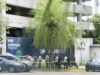 Hombre muere tras caer desde el cuarto piso de plaza Central