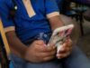 Educación regula uso celulares en escuelas de la R. Dominicana
