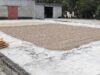 La producción de café dominicano bajo ataque de plagas, rezago y bajo rendimiento