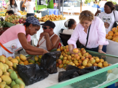 Expo Mango: feria que impulsa exportaciones y dinamiza la economía del sur
