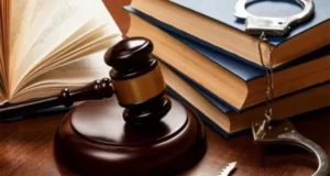 ¿Es verdad que el nuevo Código Penal atenta contra la libertad de expresión?