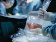 Niños en lista de espera: el desafío de sobrevivir hasta recibir un trasplante