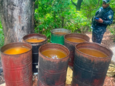 AZUA: Desmantelan fábrica clandestina alcohol adulterado