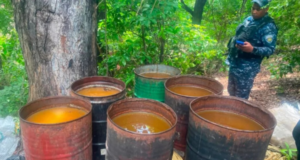 AZUA: Desmantelan fábrica clandestina alcohol adulterado